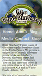 Mobile Screenshot of byneblueberries.com